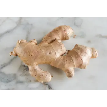 ginger (5)-3612532-69912.webp
